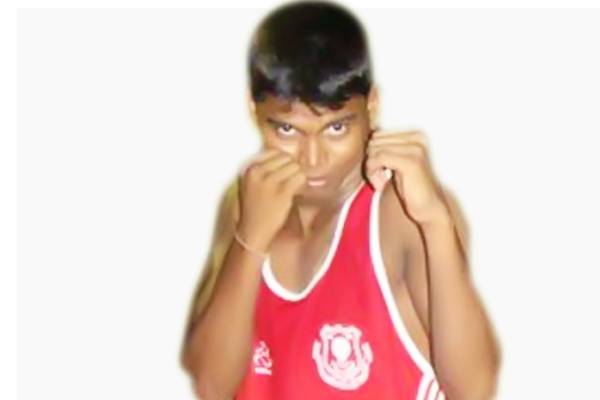 boxer